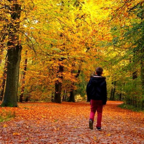 5 autumn rituals to get in tune with the season